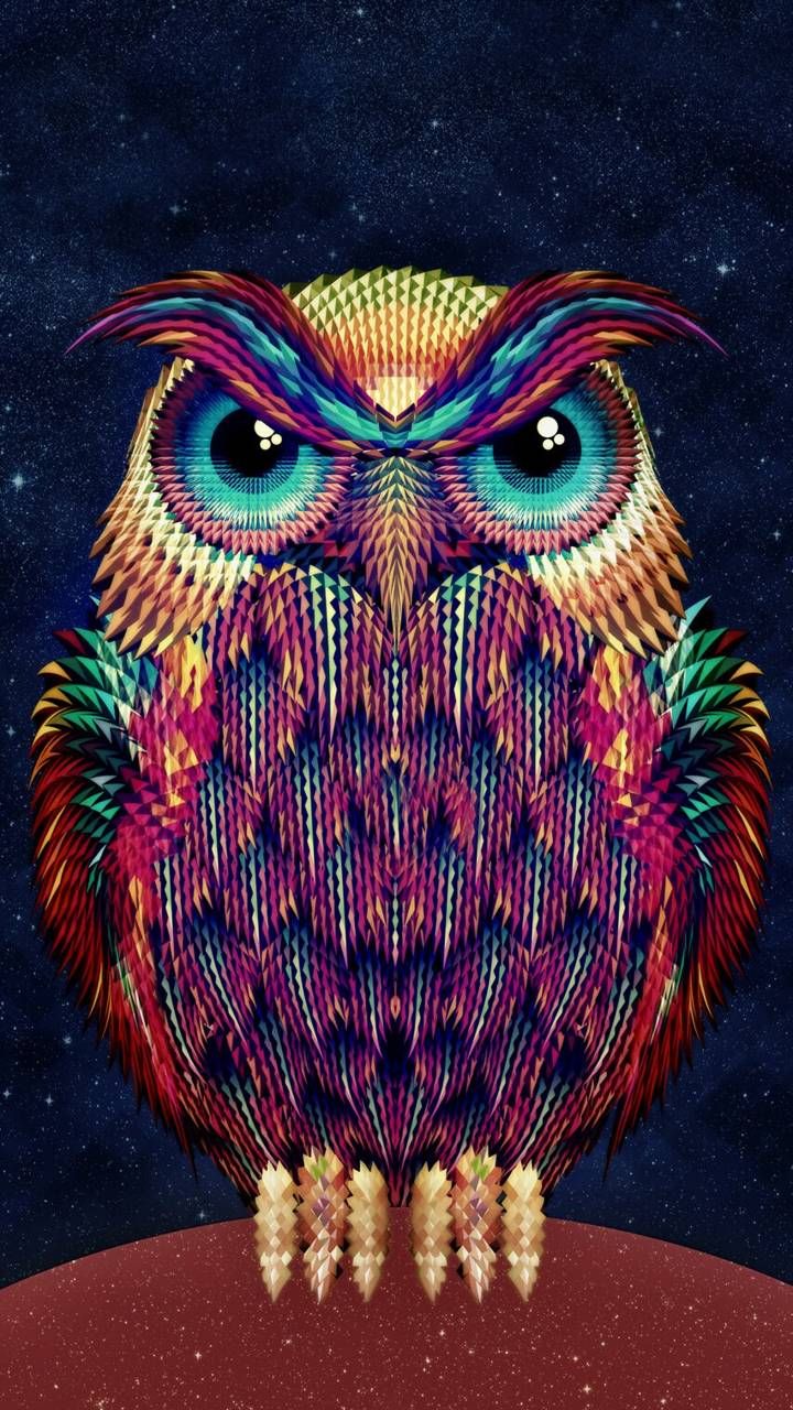 Owl Phone Wallpaper Art Pictures