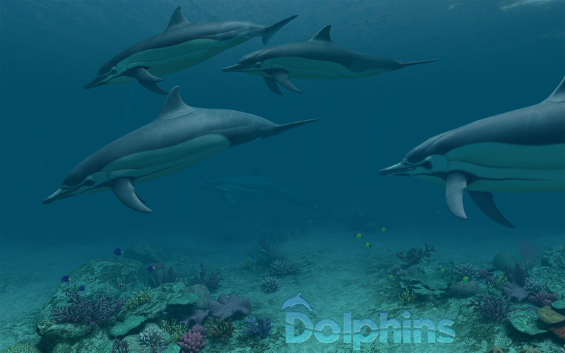 Dolphins 3d By 3planesoft