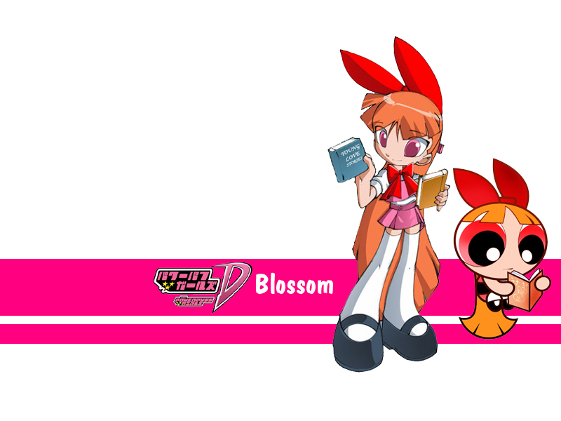 Momoko Akatsutsumi Blossom Bubbles and Buttercup Television show bubbles  vertebrate computer Wallpaper powerpuff Girls Z png  PNGWing