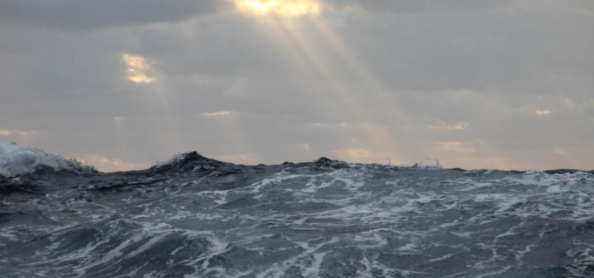 Gas Passing Plankton Illumine Another Piece Of The Carbon Cycle
