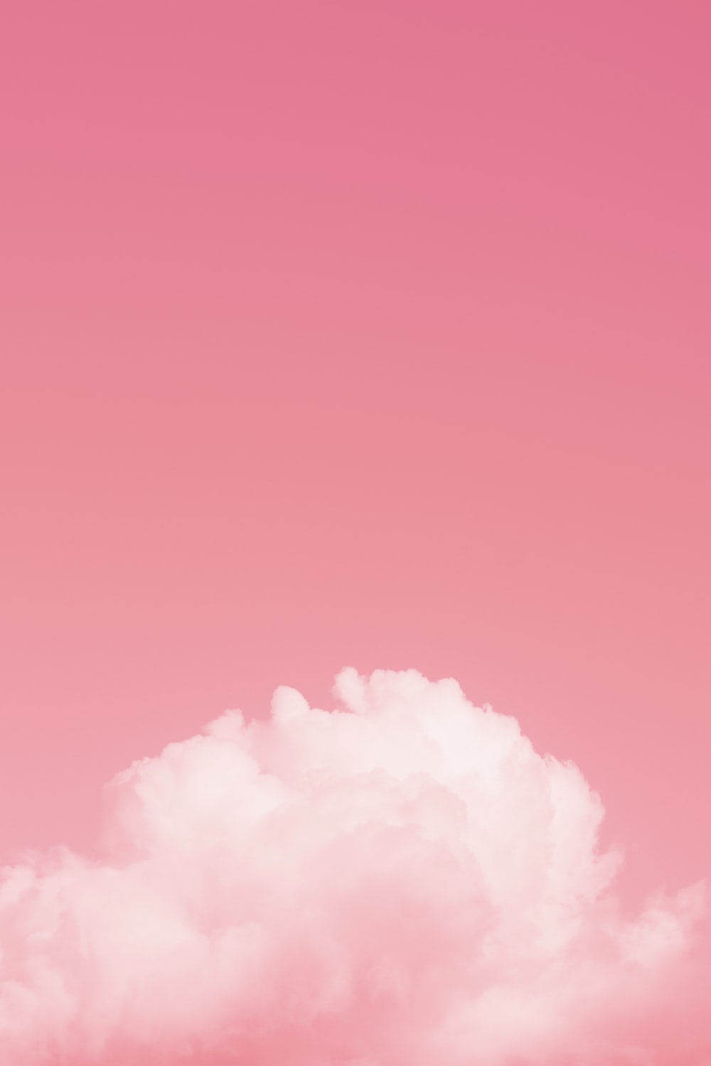 Pink Wallpaper Hd Hq