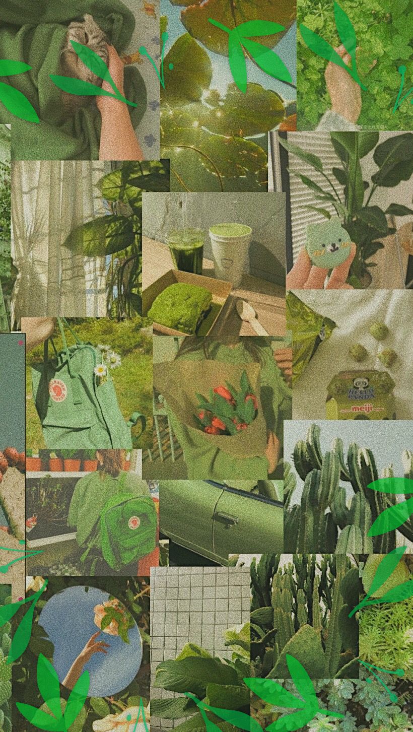 Green Aesthetic Wallpaper Nature