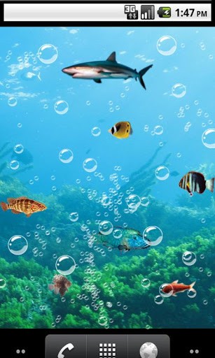 Bigger Fish 3d Live Wallpaper For Android Screenshot