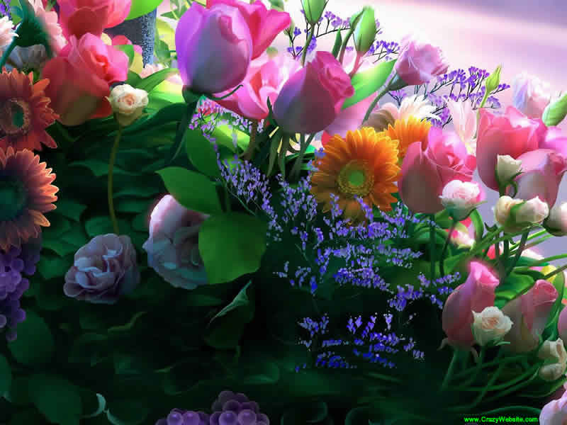 Of Spring Flowers For Puter Wallpaper Beautiful Desktop