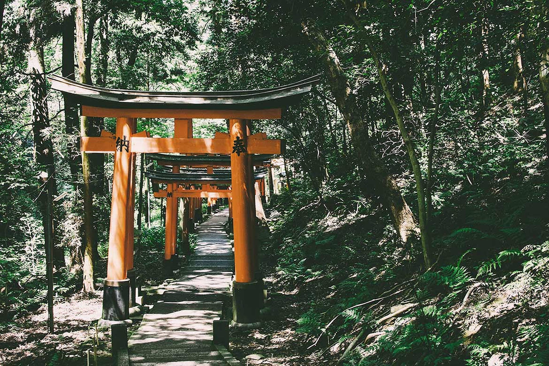 Torii Gate Wallpaper