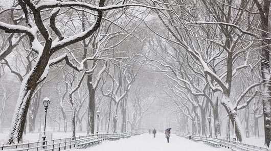 Beautiful Snowfall Season Wallpaper Warm Breath Feelings