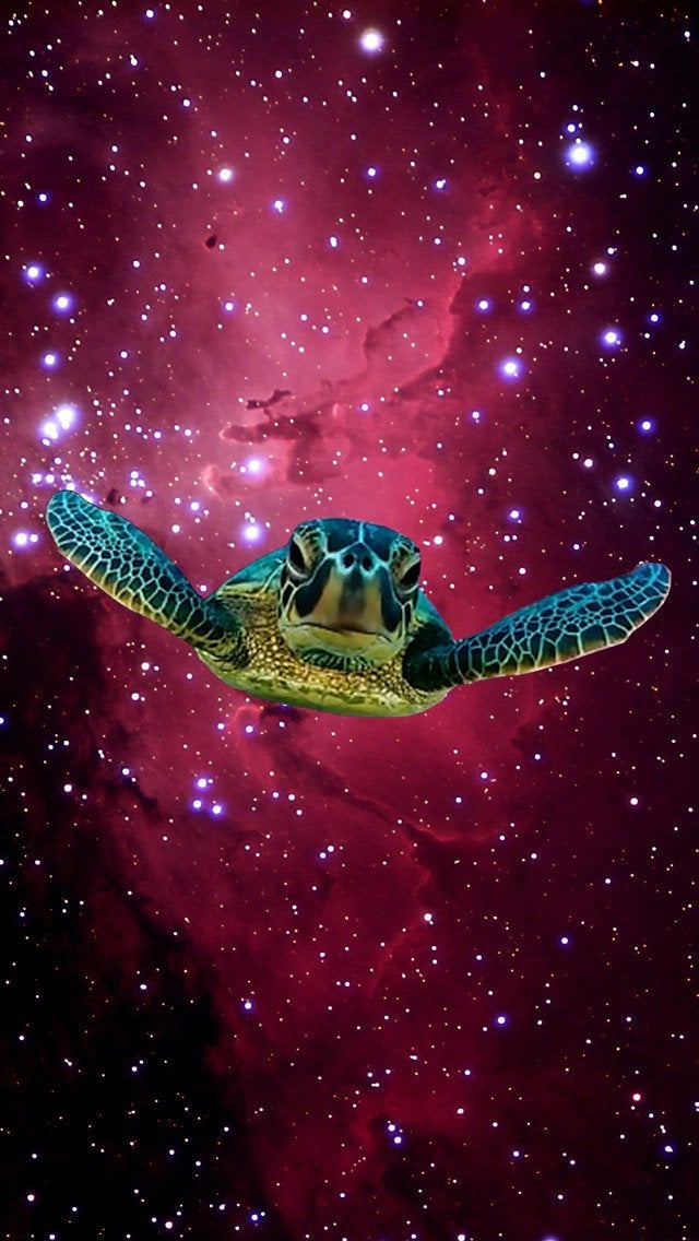 I made an iphone wallpaper of the turtle in space This is where 640x1136