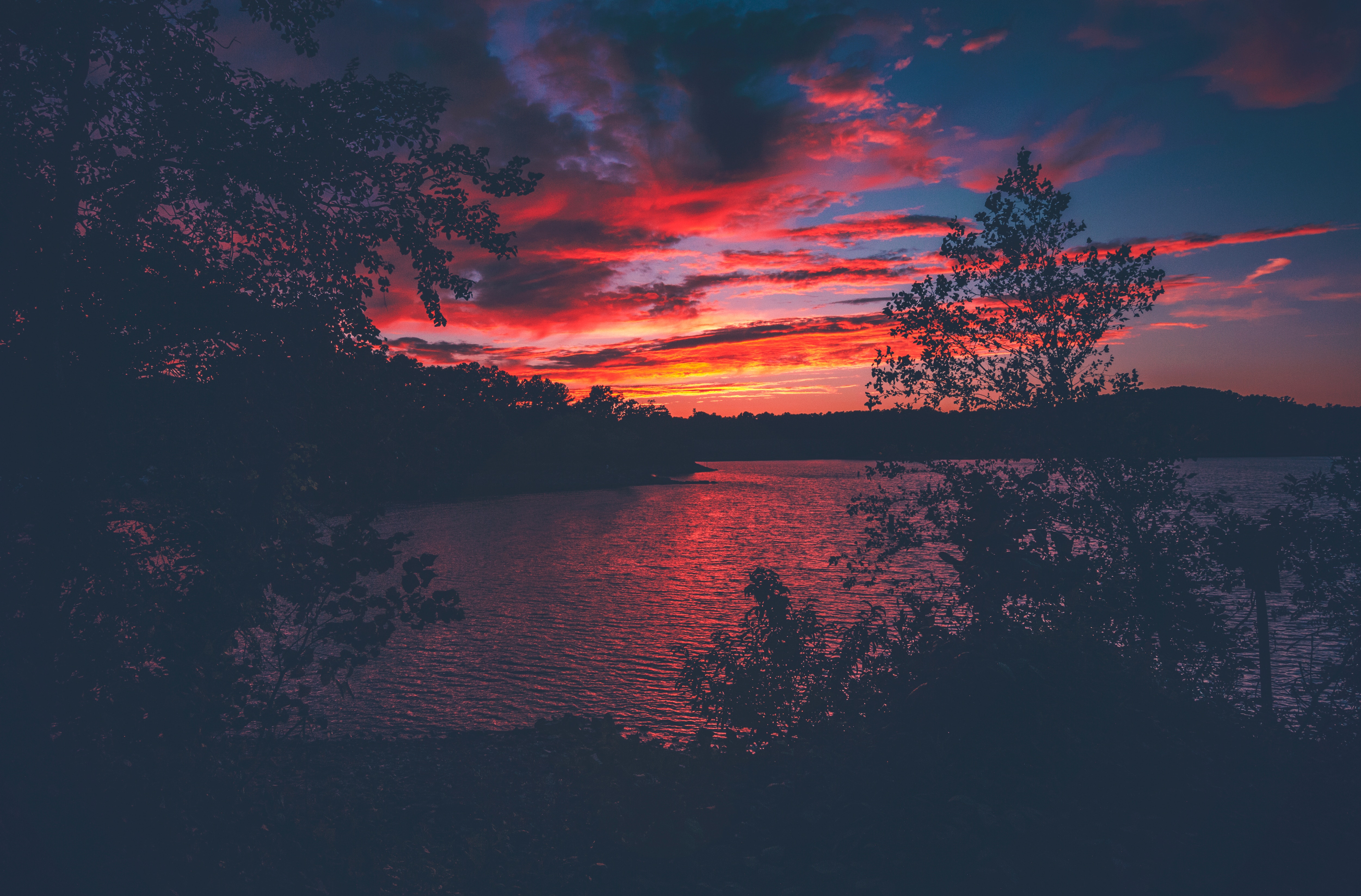 Red Evening Sunset Lake From Forest Woods HD Nature 4k Wallpaper
