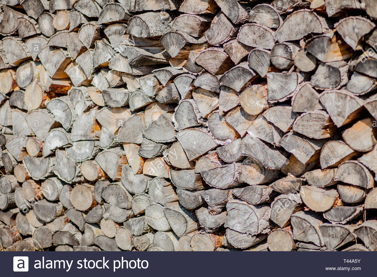 Firewood Background Wall Of Dry Chopped