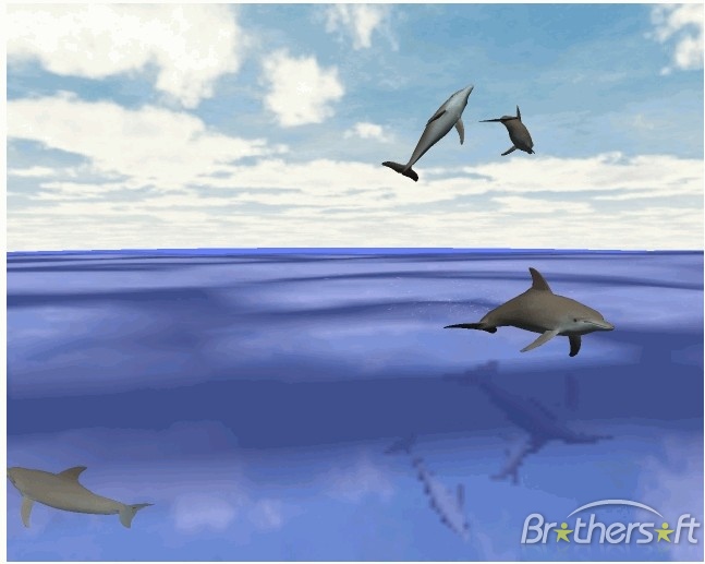 3d Desktop Wallpaper Dolphins In HD