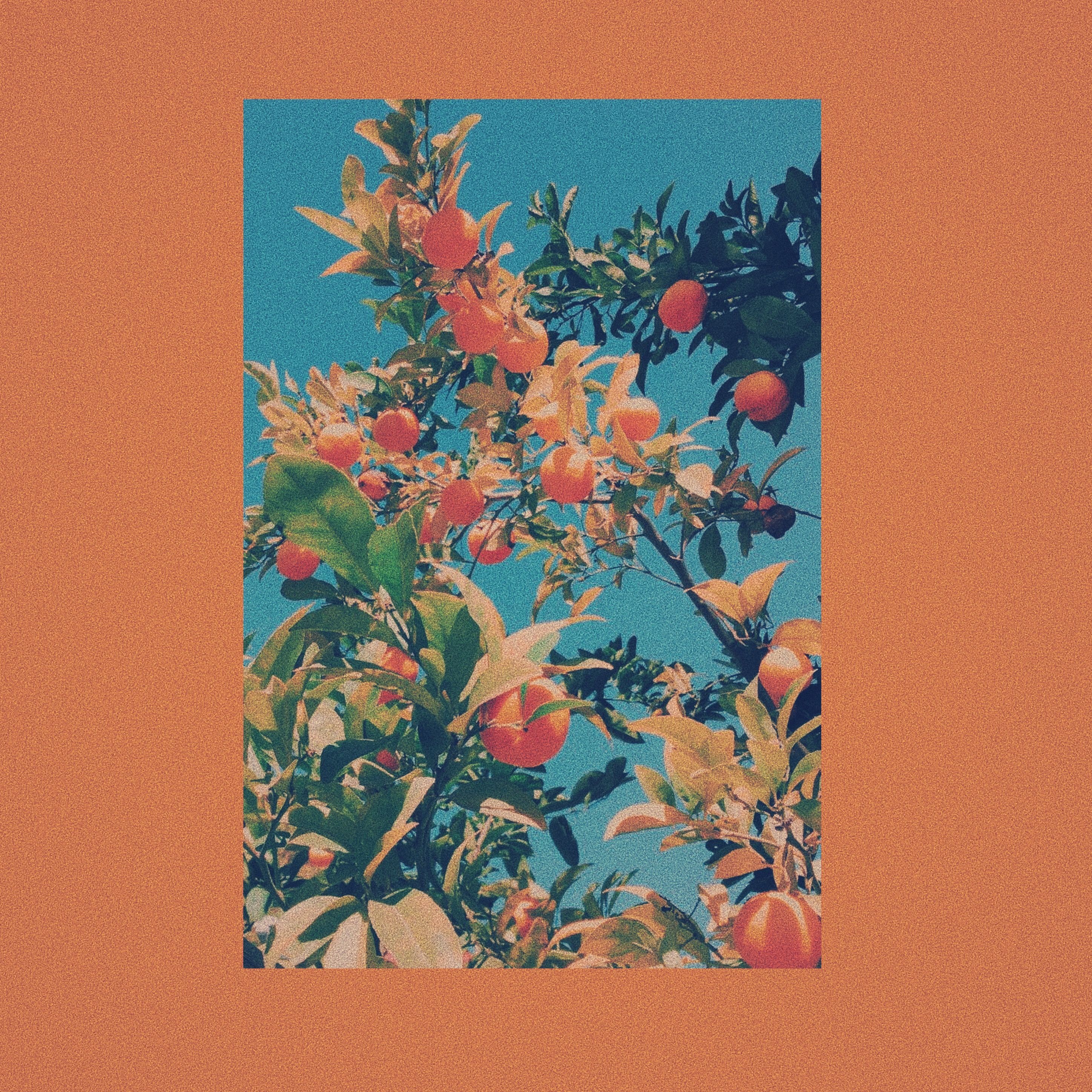 Aesthetic Art Wallpaper On
