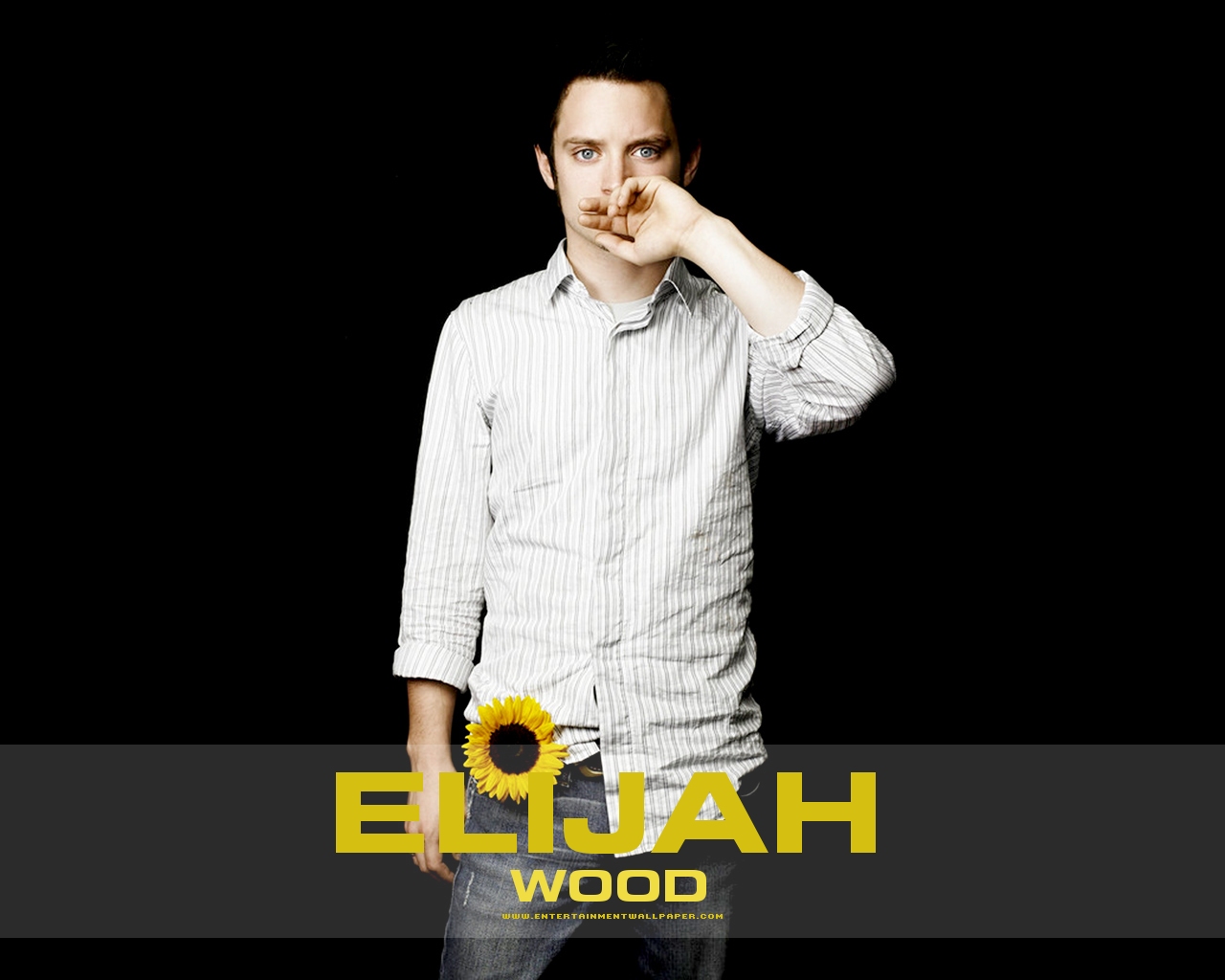 Elijah Wood Image HD Wallpaper And Background Photos