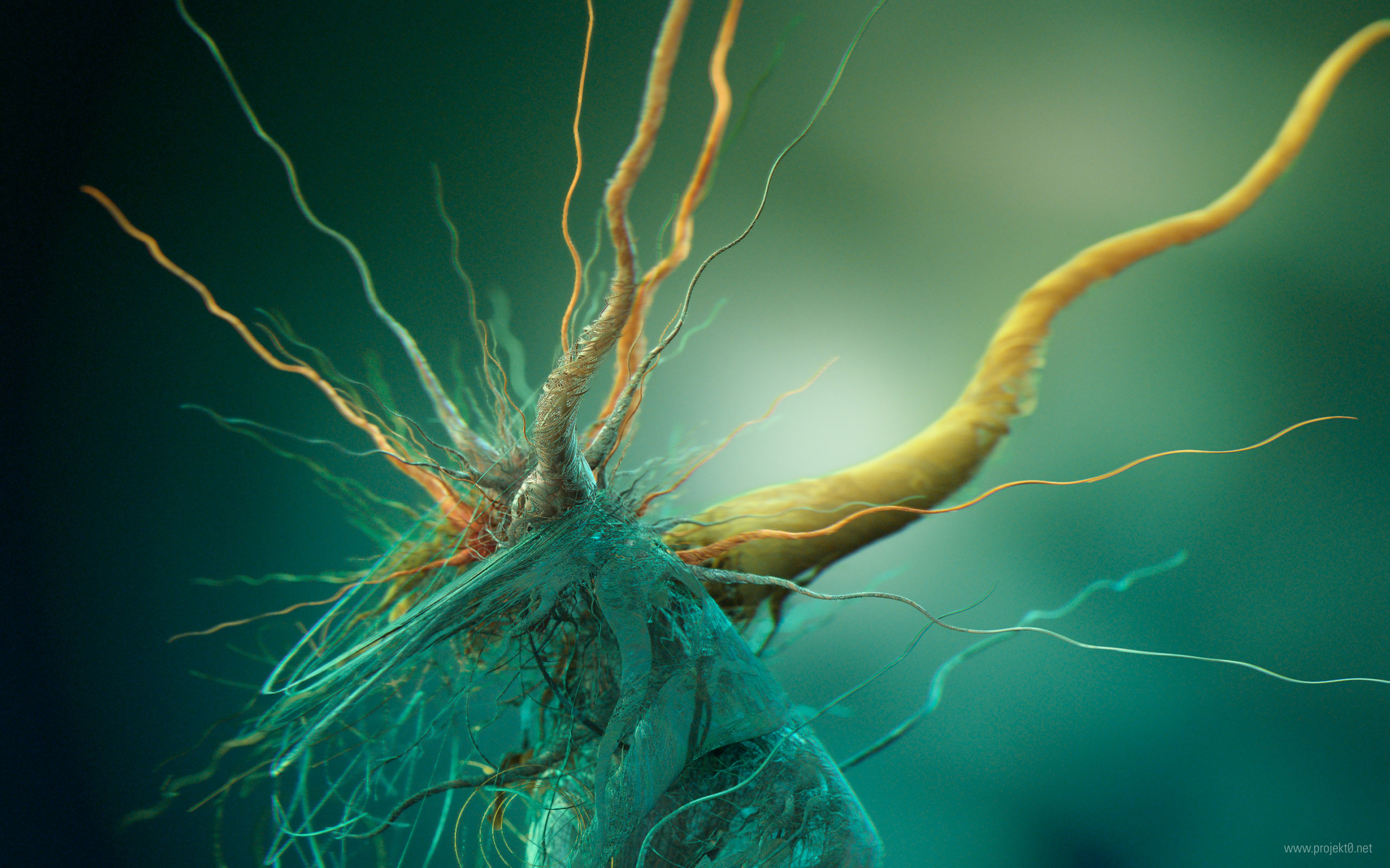 Bacteria Wallpaper On