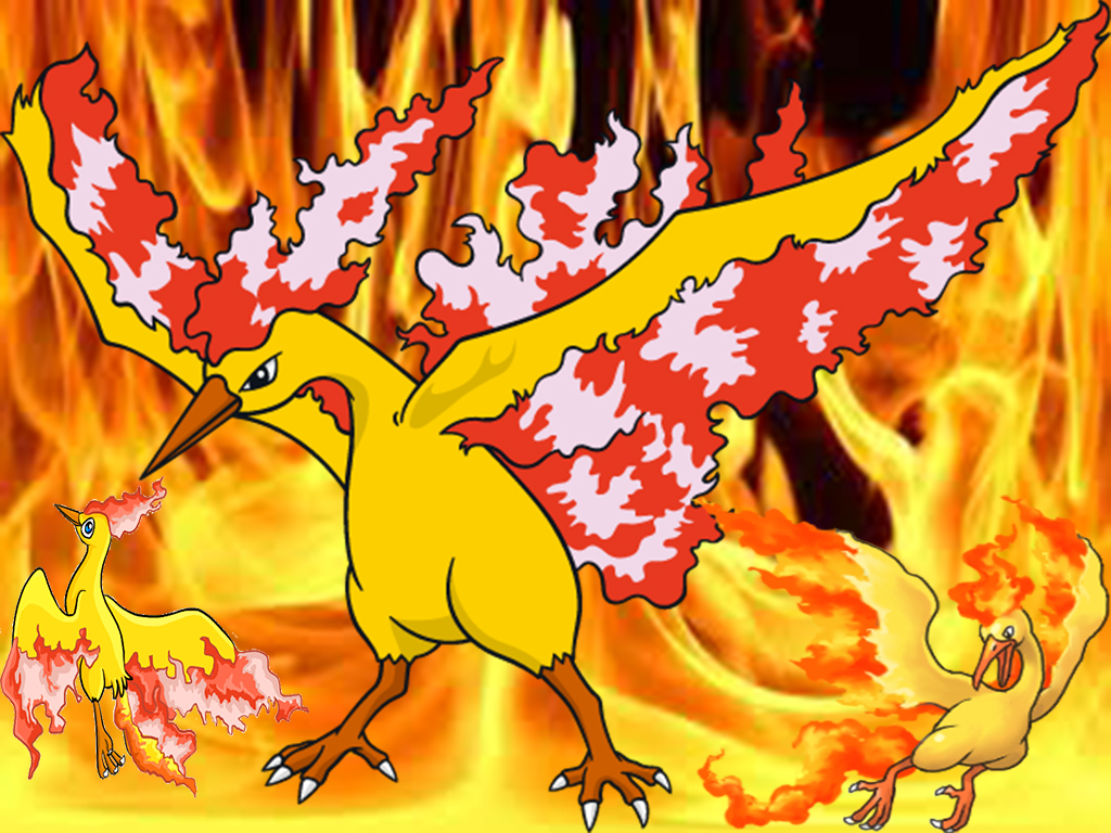Pok Mon Image Moltres Wallpaper HD And Background