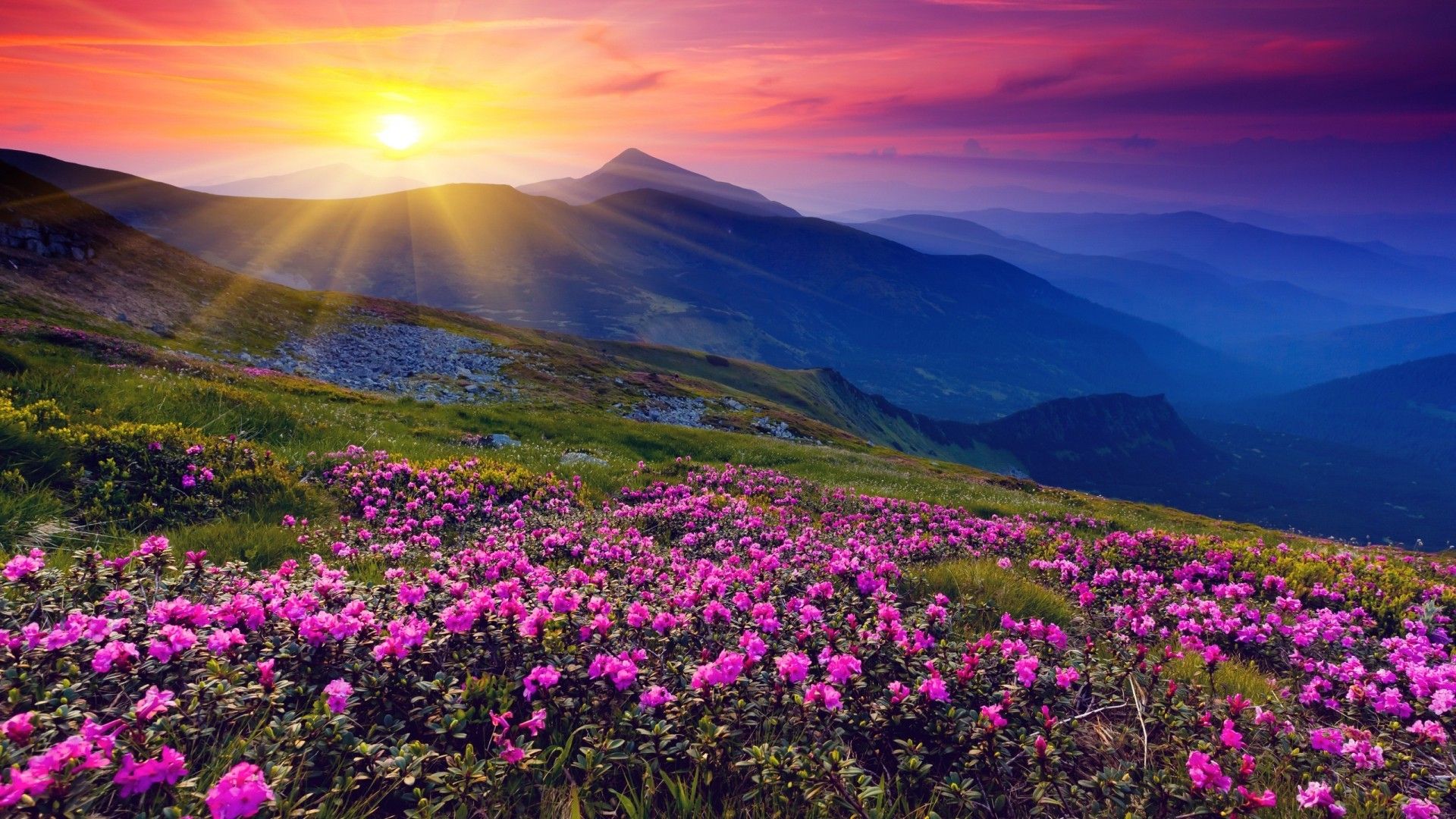 mountain sunset background