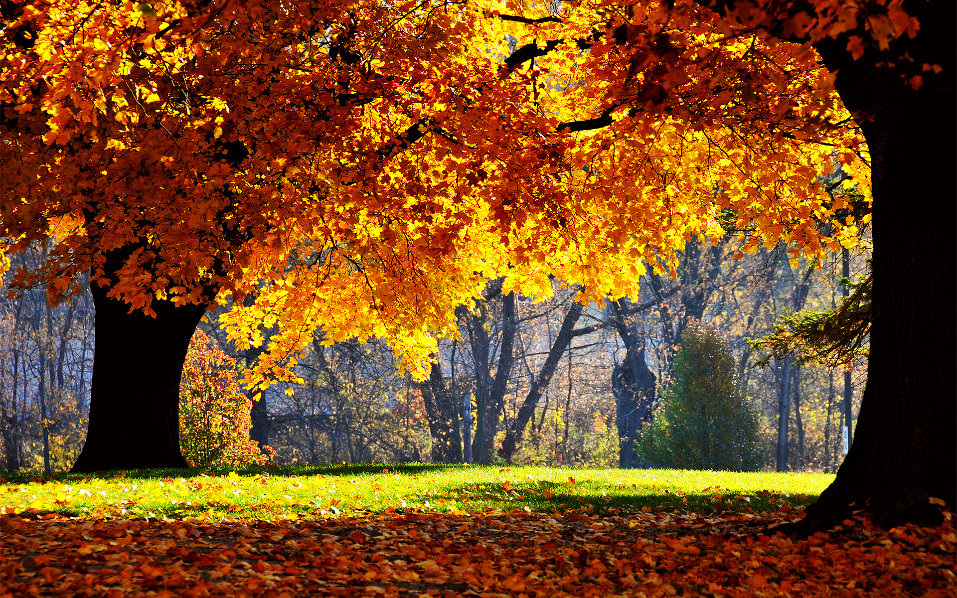 Autumn Falls Desktop Pc And Mac Wallpaper
