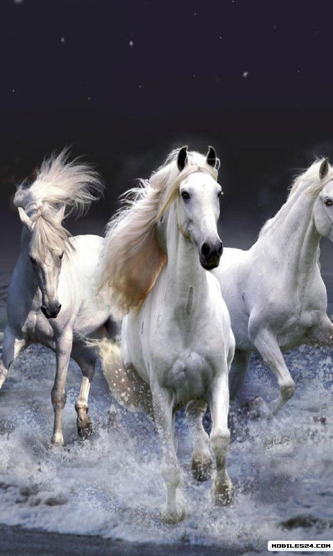 Horse Live Wallpaper Samsung Galaxy S3 App