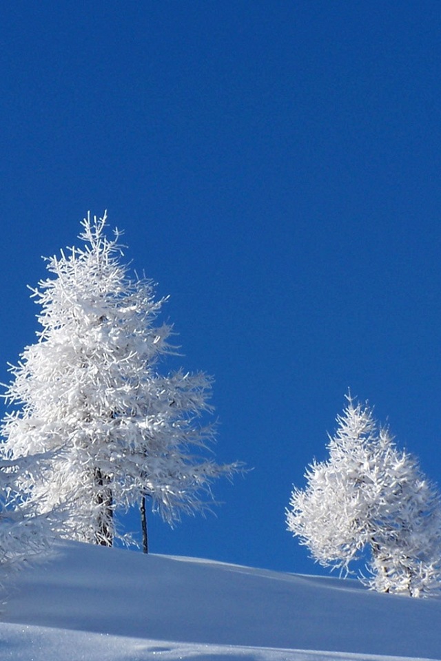 Winter Simply Beautiful iPhone Wallpaper