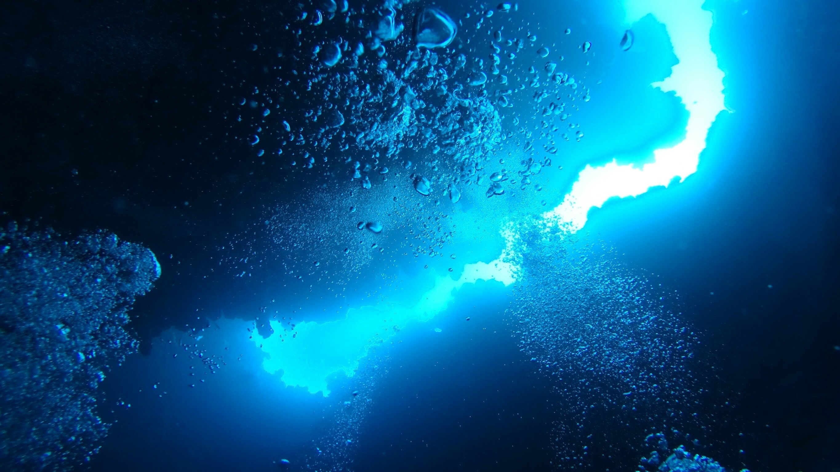 Red Sea Diving 4k Wallpaper UHD Image