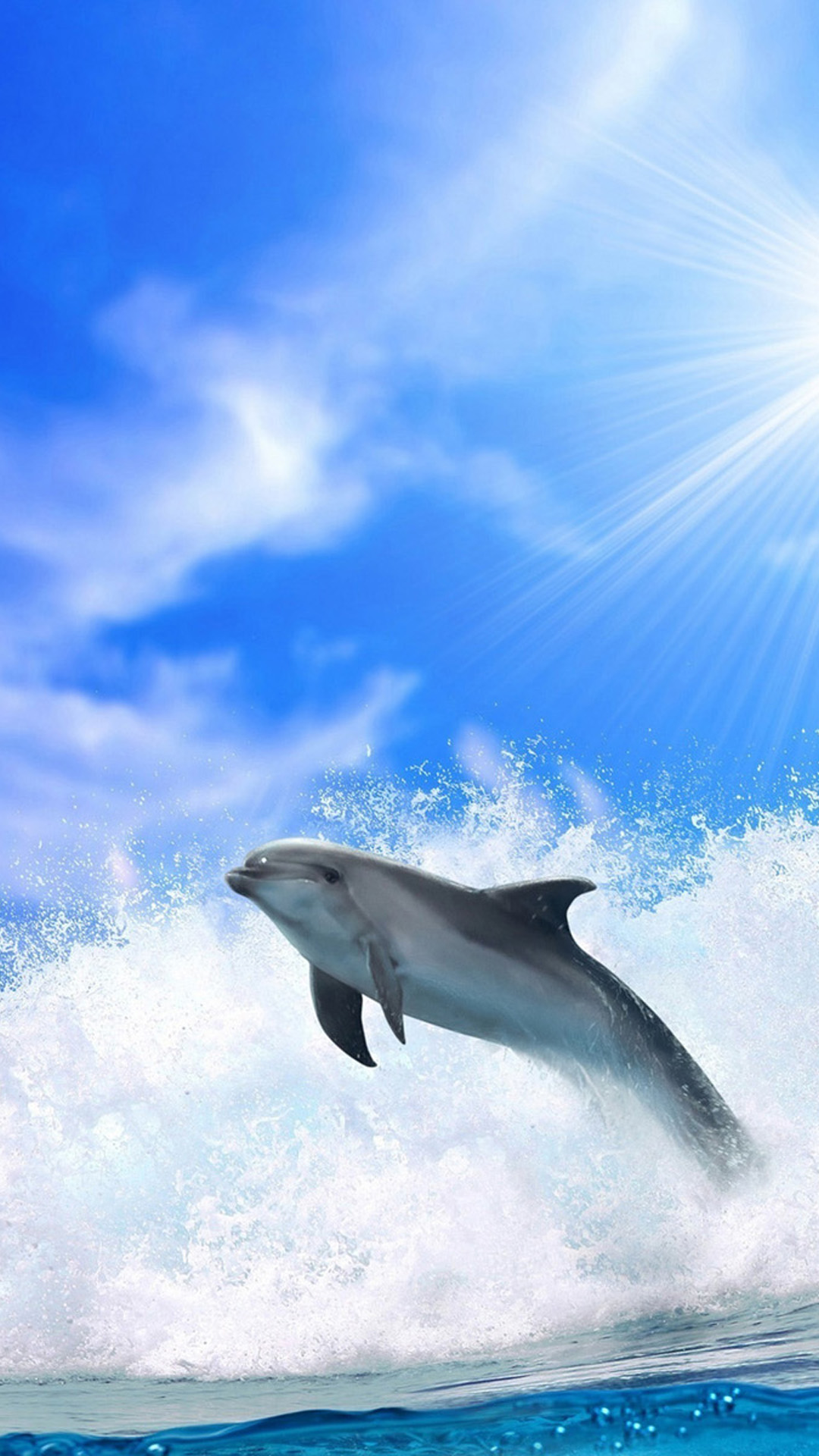 Dolphin iPhone Wallpaper Ocean Dolphins Plus