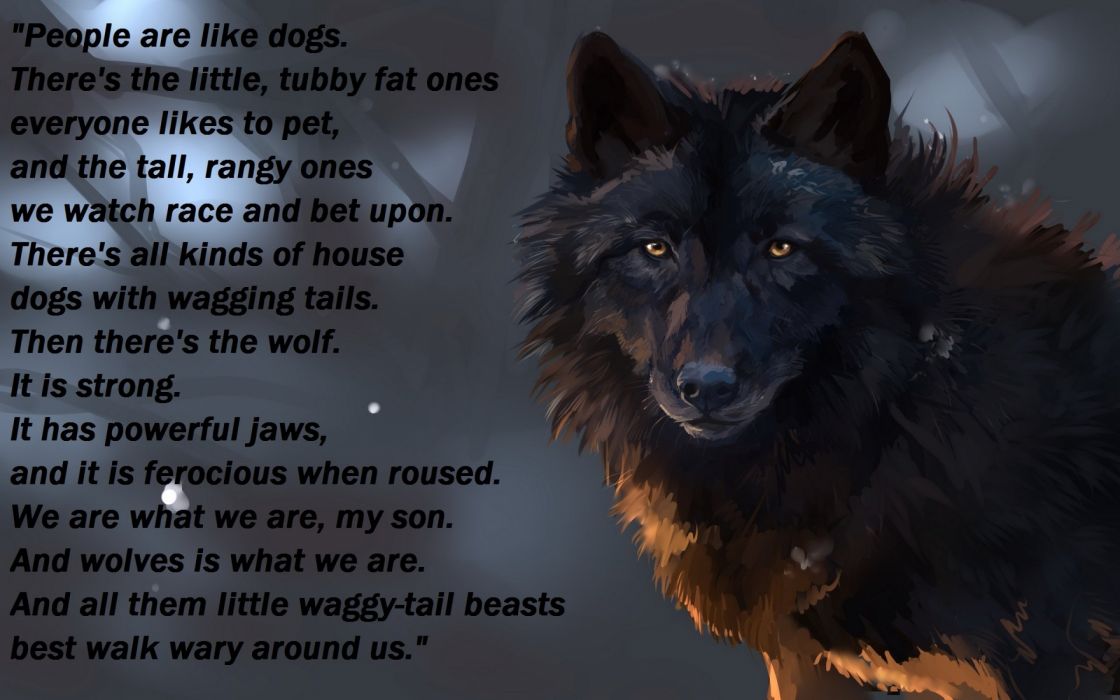 Wolf Wolves Predator Carnivore Typography Text Quote F Wallpaper