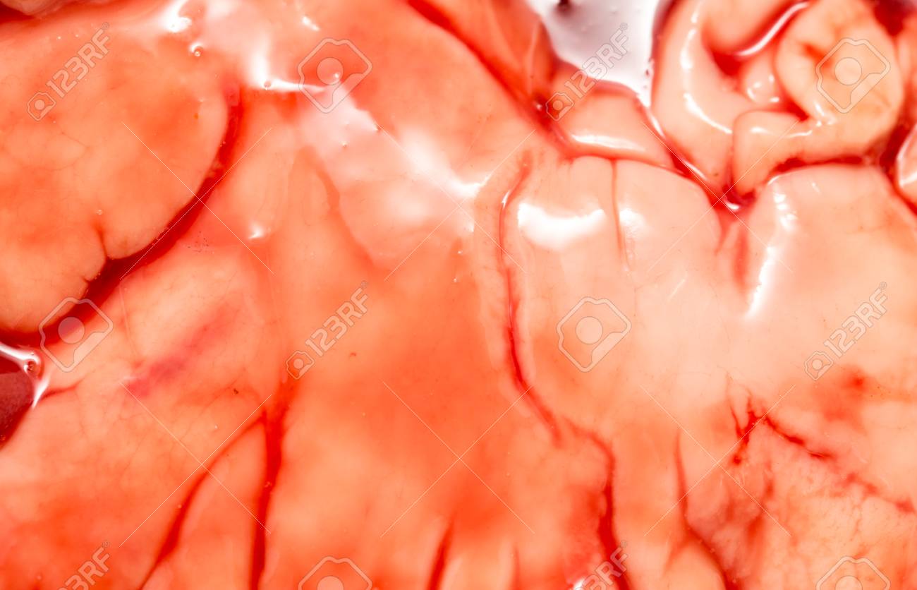 In The Blood Of Fish Guts As Background Stock Photo Picture And