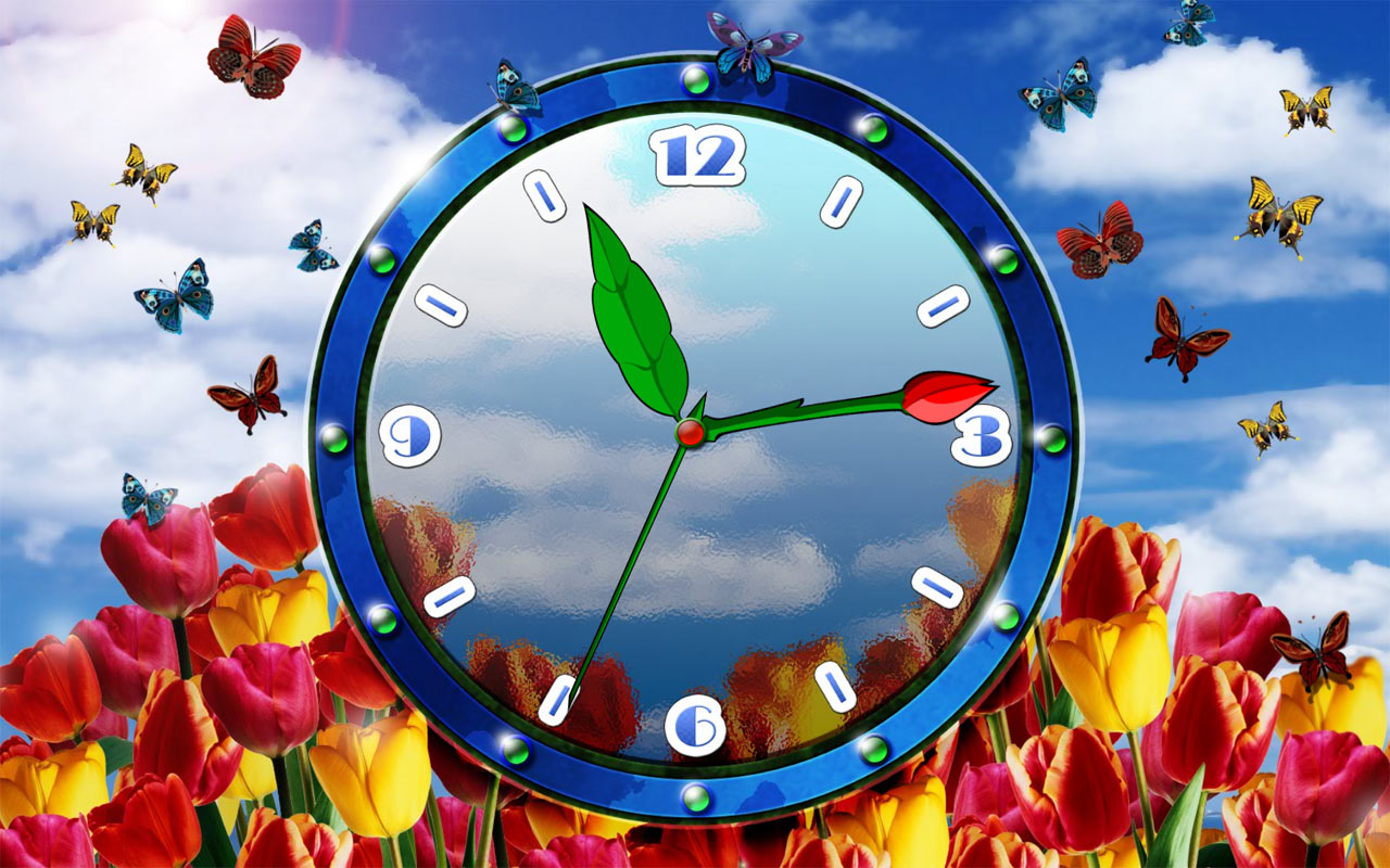 Tulip Clock Screensaver Natural Flower