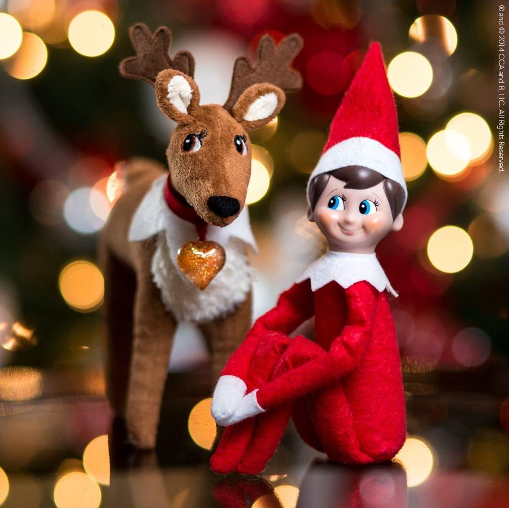 Adopt One Of His New Elf Pets Reindeer A Snuggly Friend That