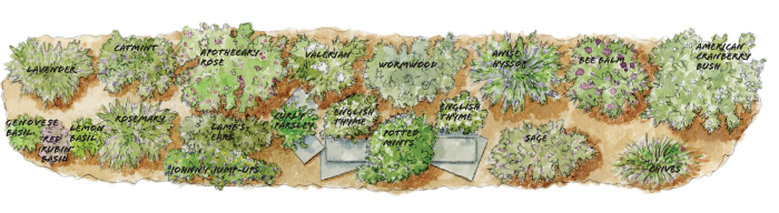 Create An All Season Herb Garden Border