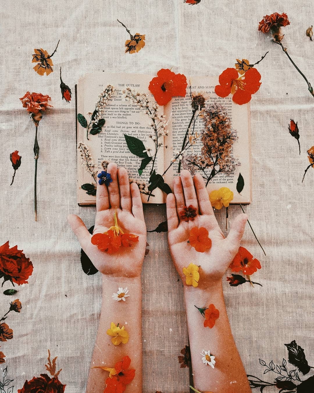 Amy Nelson On Instagram Follow So Super Awesome Wallpaper