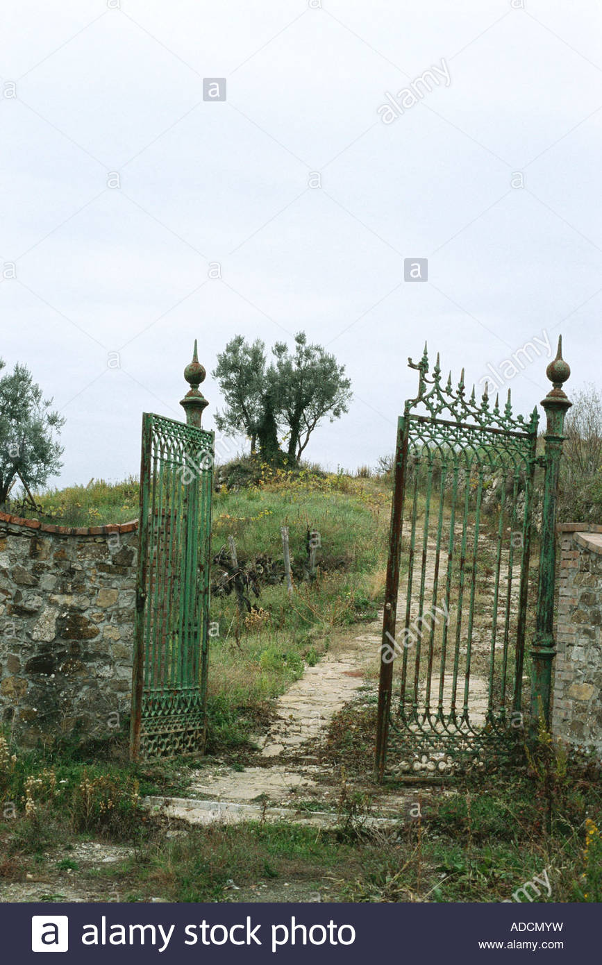 Metal Gate At Entrance To Dirt Driveway And Olive Trees In