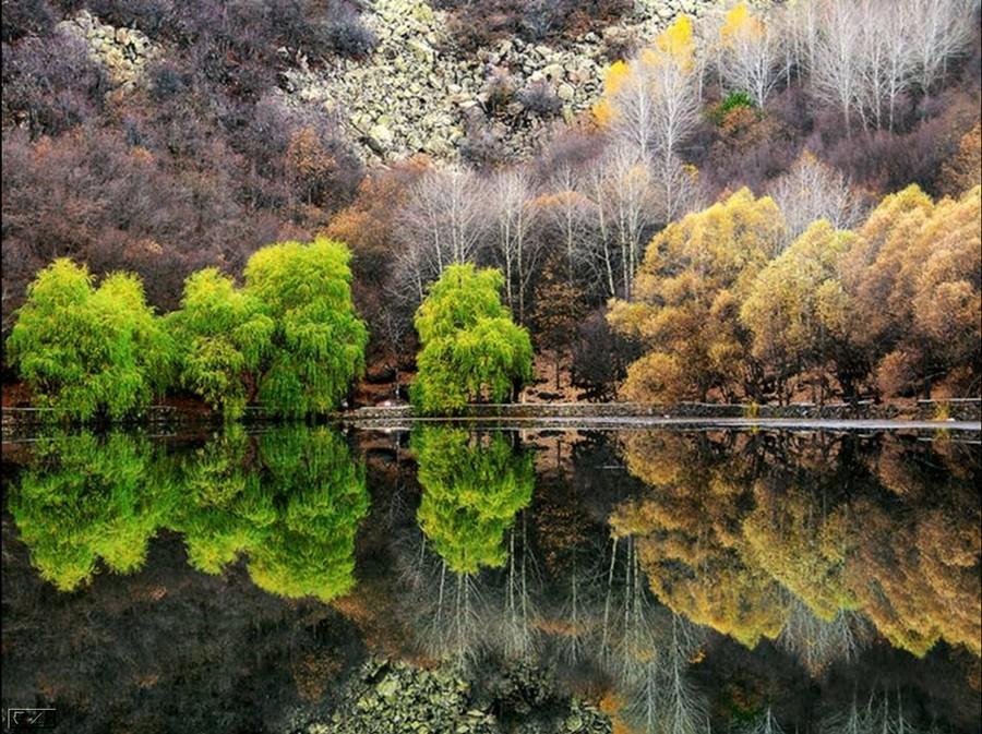 Amaze Pics Vids Beautiful Nature   Desktop Wallpapers