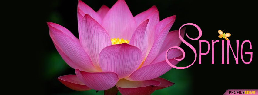 Beautiful Spring Lotus Flower Cover Pictures
