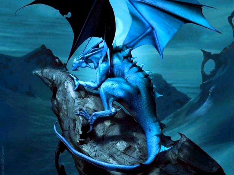 Blue Dragon Wallpaper   HD Wallpapers and Pictures