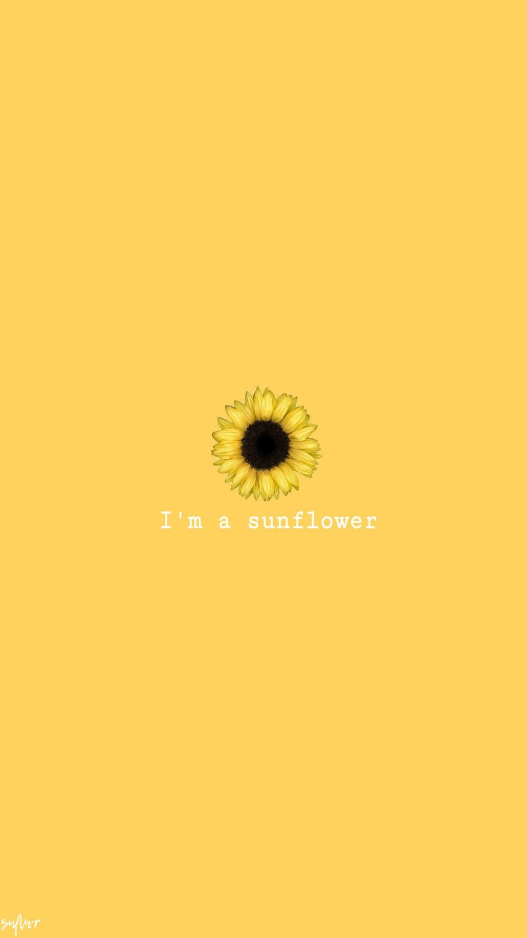 28+] Yellow Sunflower Wallpapers - WallpaperSafari