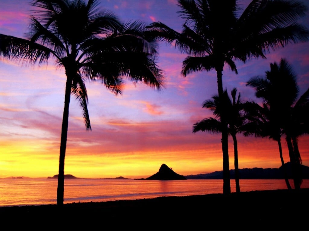 Hawaiian Sunset Wallpaper Free HD Backgrounds Images Pictures