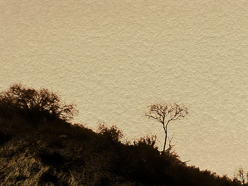 Tree Silhouette Beige Mural Wallpaper Hillside Background Brown Taupe