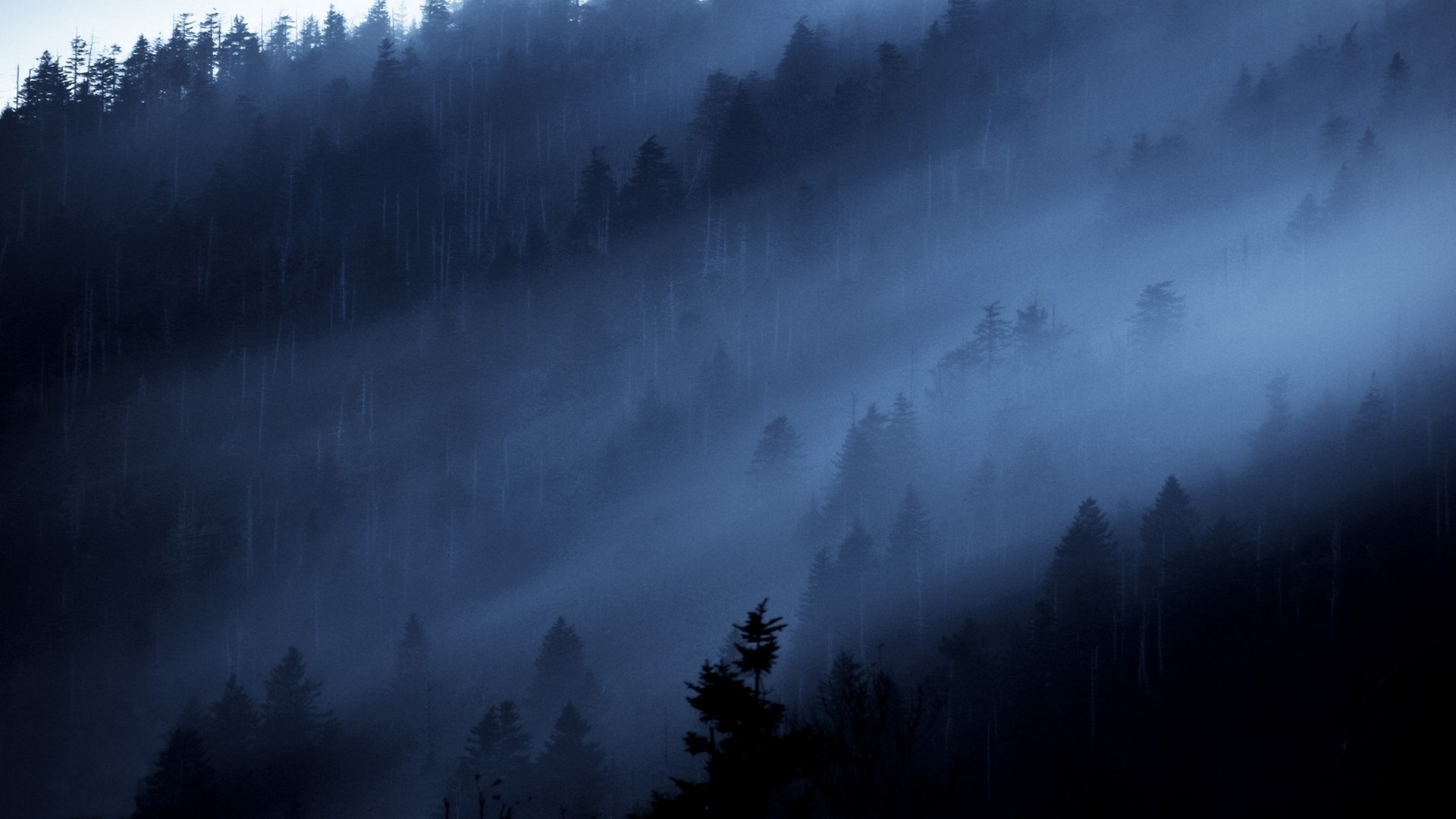 🔥 Free download Steam Wallpaper 1920x1080 Steam [1920x1080] for your