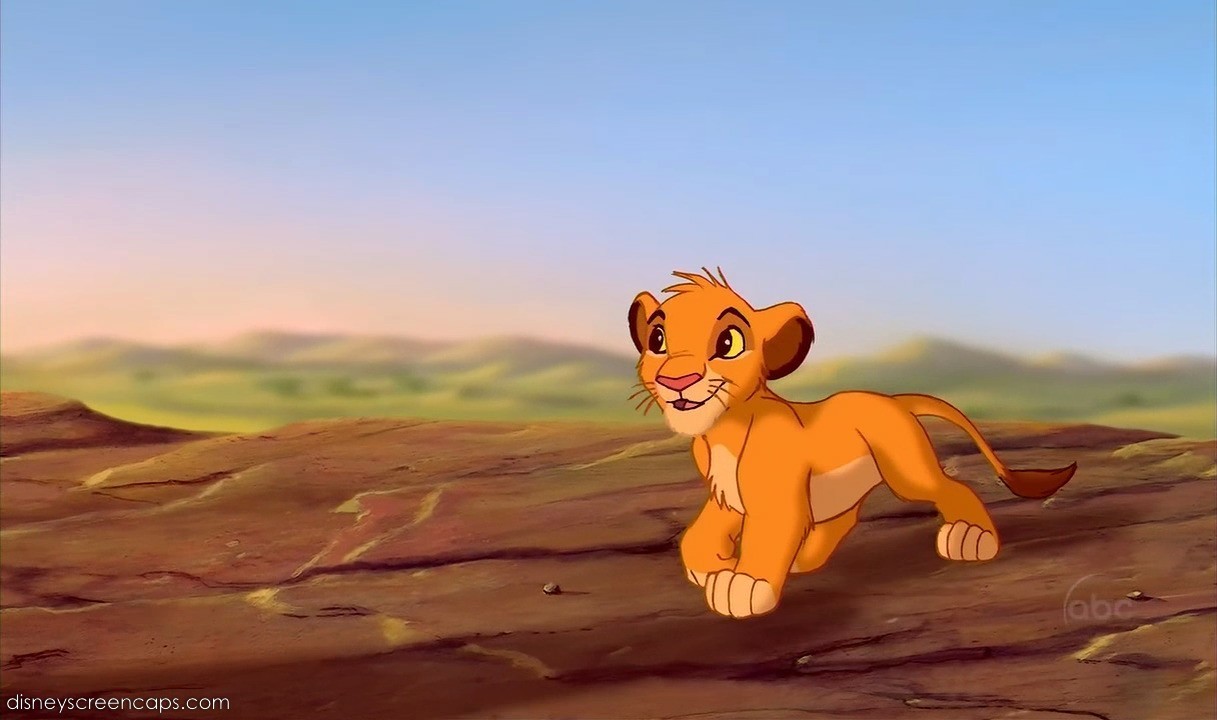 Simba Image HD Wallpaper And Background Photos