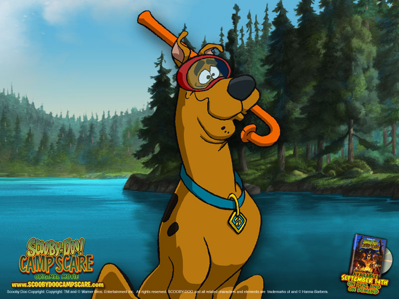 Home Wallpaper Scooby Doo Camp Scare