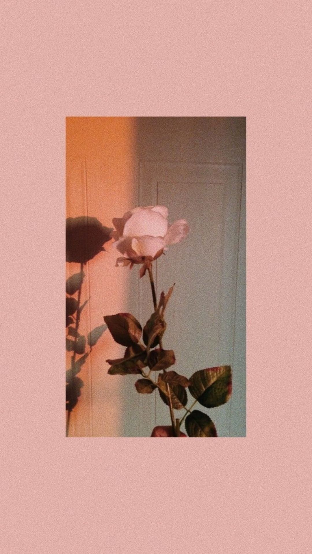 Artsy Aesthetic iPhone Wallpaper HD