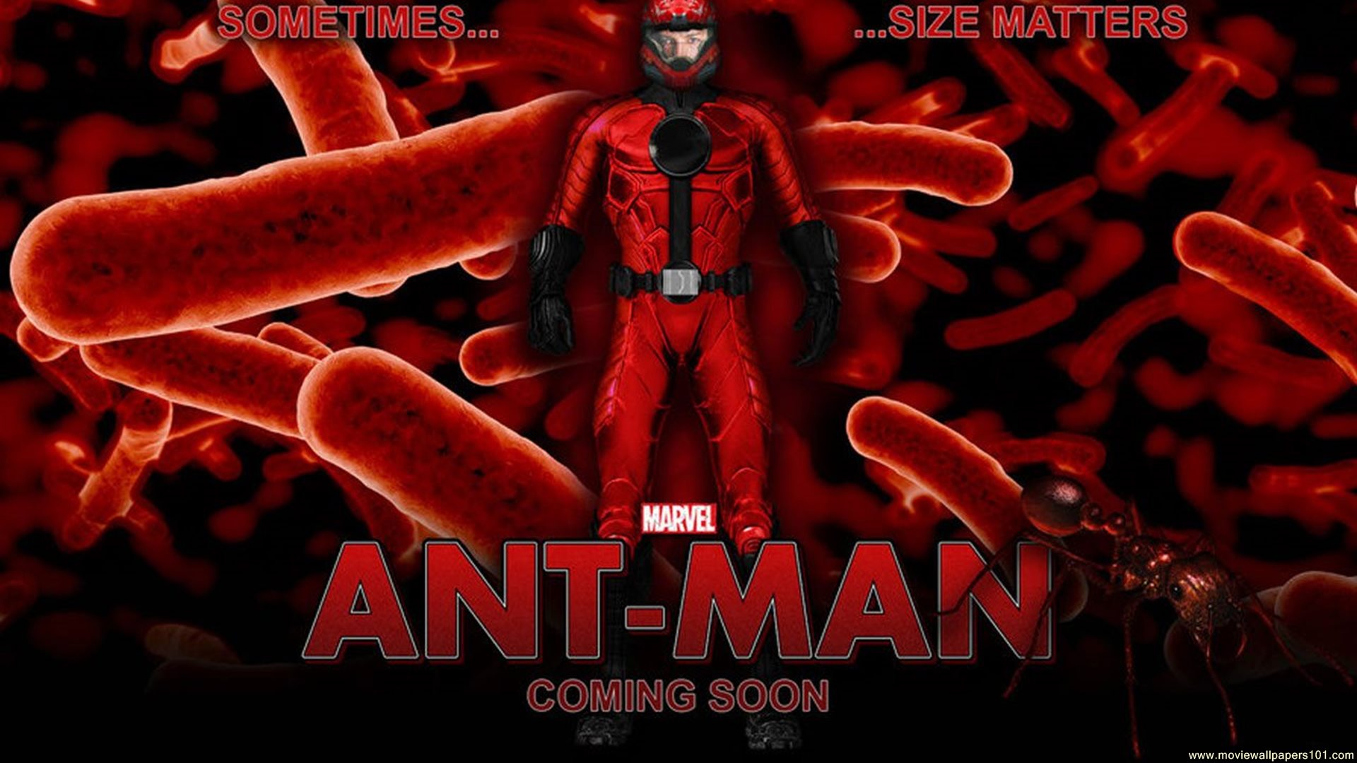 Download Marvel Ant Man 2015 Movie HD Wallpaper Search more high