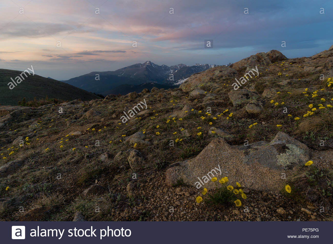 🔥 [46+] Lurking Background | WallpaperSafari