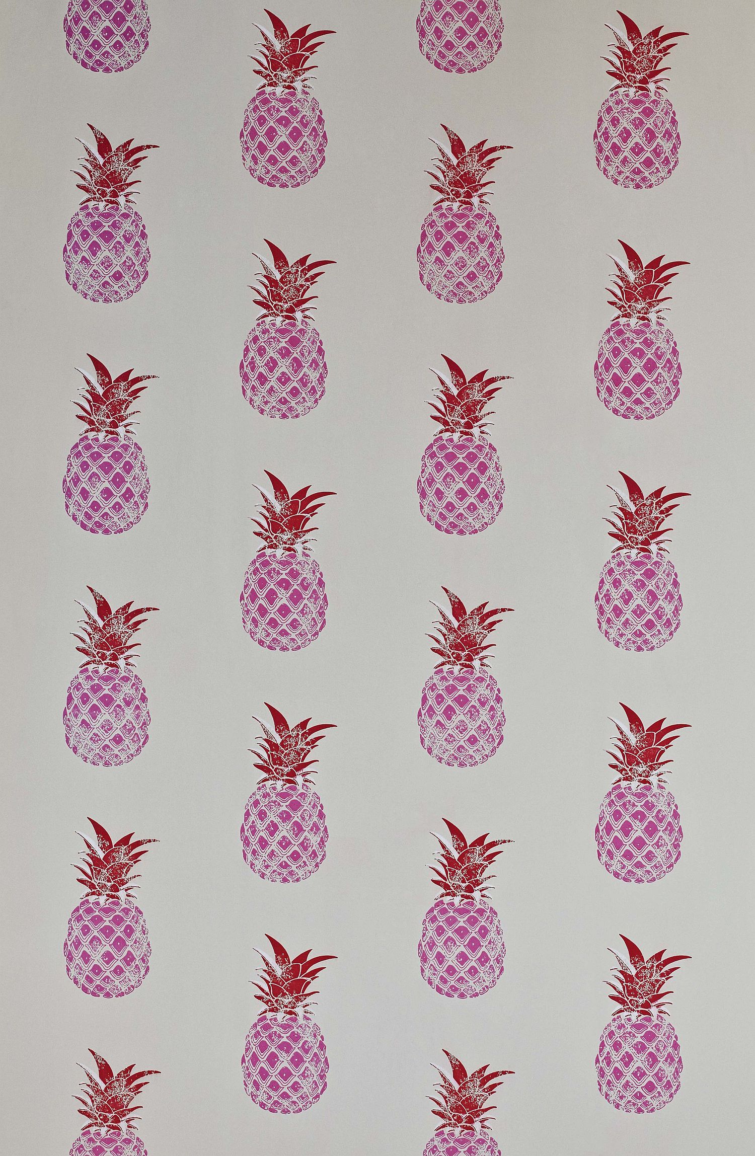 Pineapple by Barneby Gates   Red Pink Wallpaper Direct
