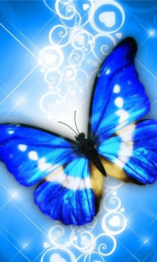 Bigger Butterfly Live Wallpaper For Android Screenshot