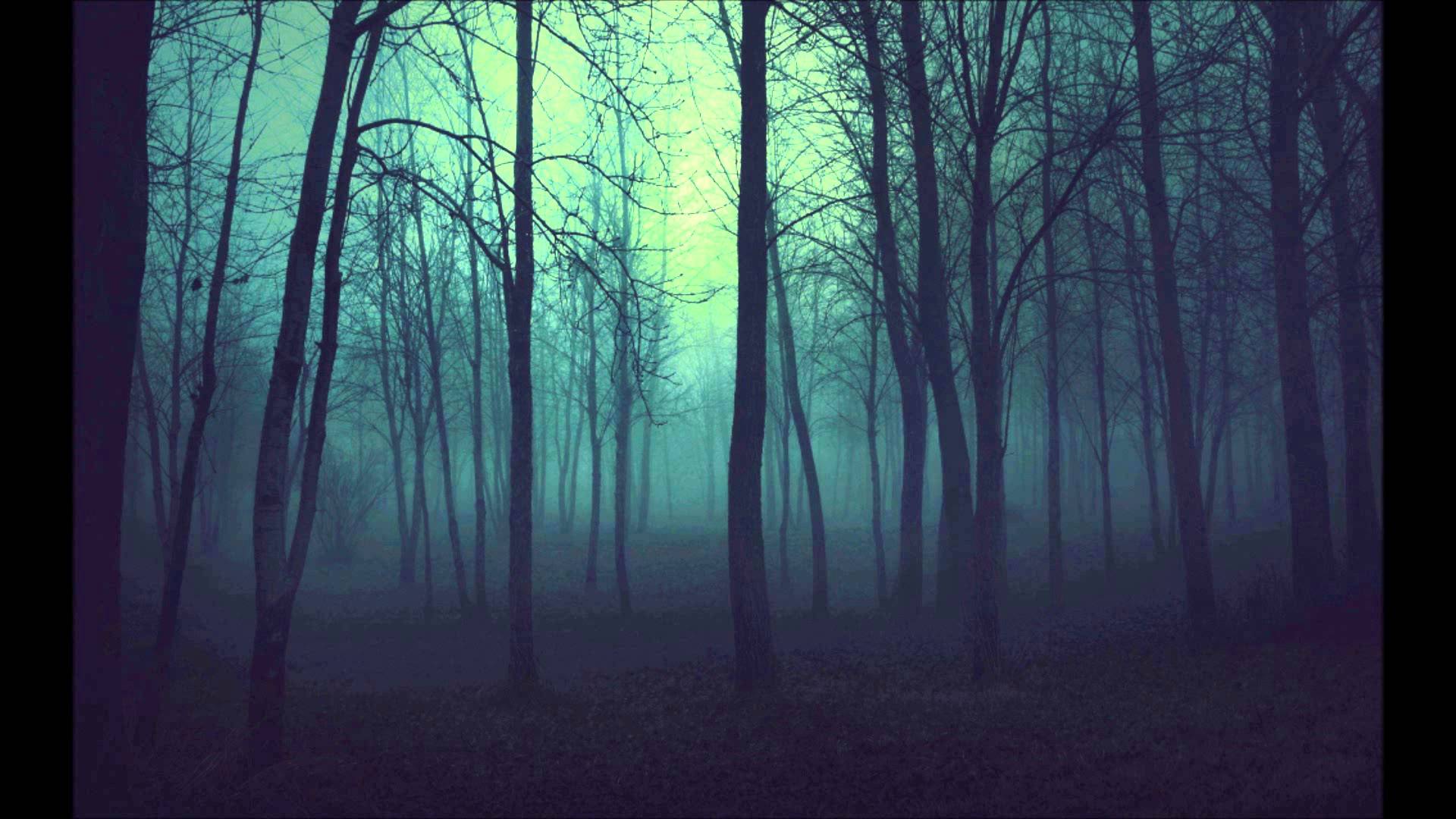 Dark Woods Wallpaper HD Pictures Live Hq