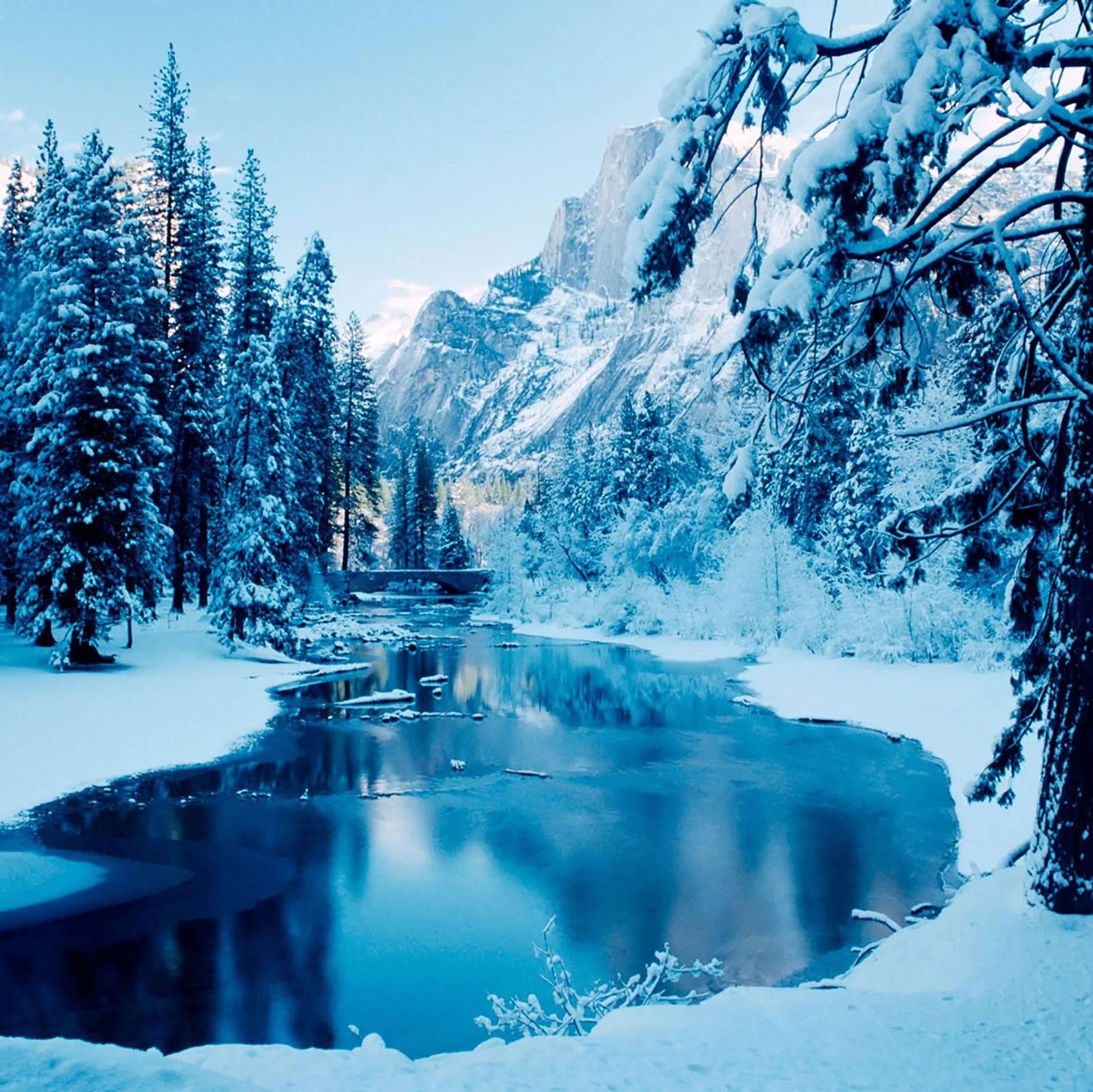 4k iPad Winter Landscape Wallpaper