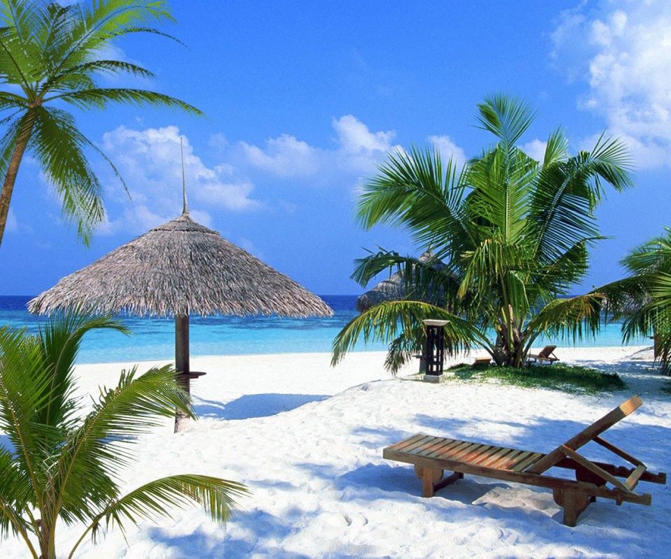 Wallpaper Fbistan Palm Trees Beach Sea Paradise Desktop