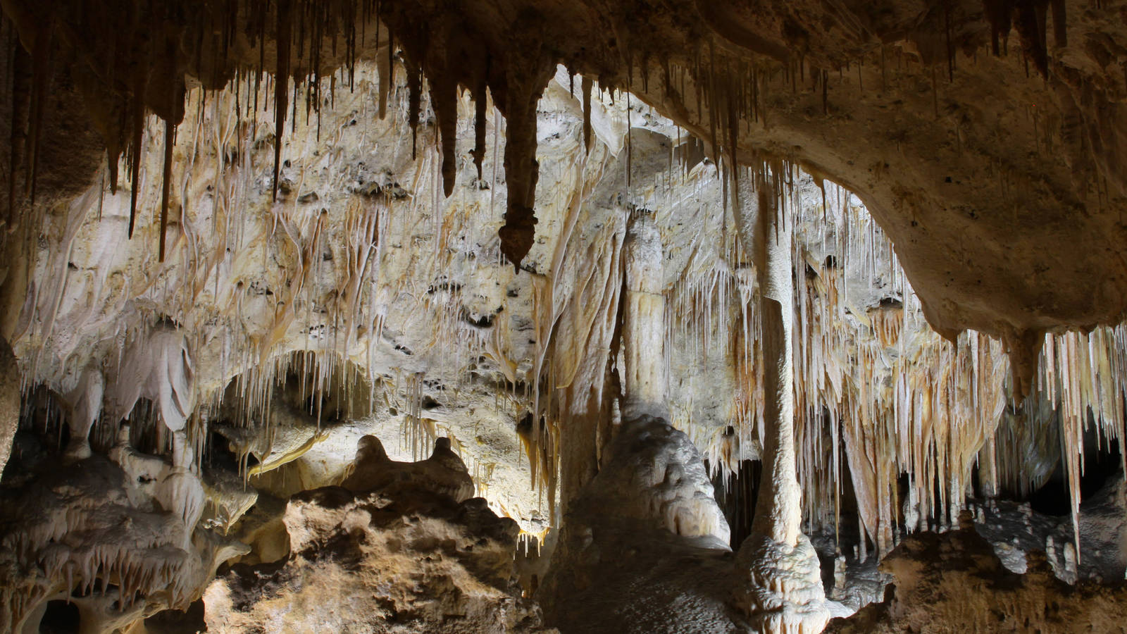 Carlsbad Caverns National Park The Target Of Rushed Oil And