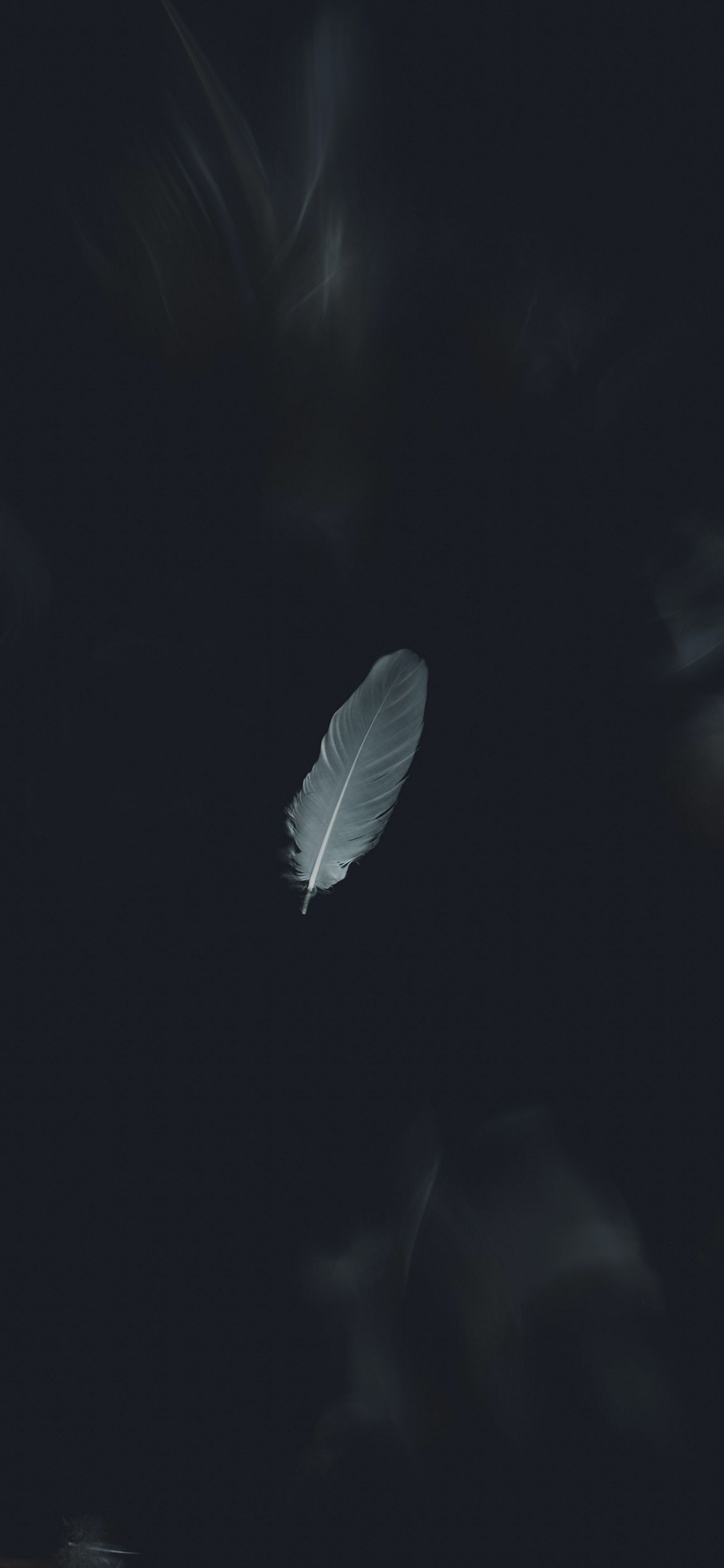 Home Screen Wallpaper